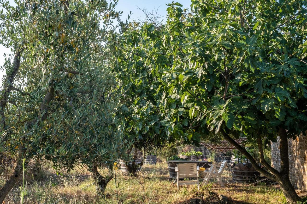 Podere Pruneto Рада ин Шанти Экстерьер фото