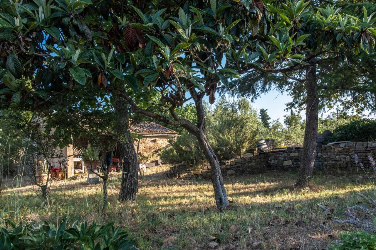 Podere Pruneto Рада ин Шанти Экстерьер фото